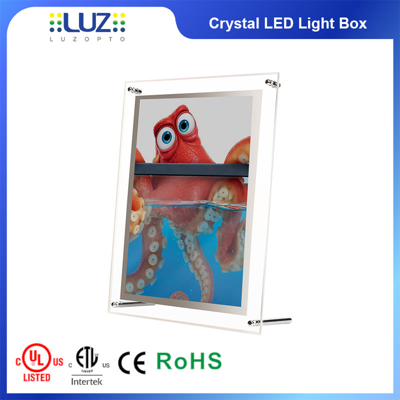 a4 portable led light box